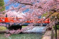 Okazaki Canal with beautiful Full Bloom Cherry Blossom in front of the Great Torii Gate of Heian-jingu Shrine in Kyoto, Japan Royalty Free Stock Photo