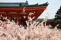 Kyoto Heian Jingu shrine Royalty Free Stock Photo