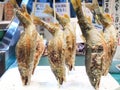 Kyoto, Japan - April 13, 2018 : Salted grilled fish on the grill in market Royalty Free Stock Photo