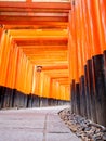 Torii path lined with thousands of torii in the Fushimi Inari Taisha Shrine in Kyoto. Royalty Free Stock Photo