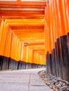 Torii path lined with thousands of torii in the Fushimi Inari Taisha Shrine