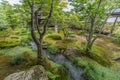 Garden and stream at Tenryu-ji Temple Complex. \