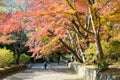 Autumn leaf color at Bishamondo Temple in Yamashina, Kyoto, Japan. The Temple originally built in 703