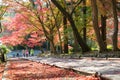 Autumn leaf color at Bishamondo Temple in Yamashina, Kyoto, Japan. The Temple originally built in 703