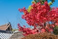 Autumn leaf color at Bishamondo Temple in Yamashina, Kyoto, Japan. The Temple originally built in 703 Royalty Free Stock Photo