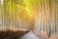 Kyoto Japan, Bamboo forest Arashiyama zen garden Royalty Free Stock Photo