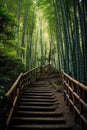 Kyoto Japan Bamboo Forest path. generative ai Royalty Free Stock Photo