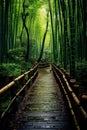 Kyoto Japan Bamboo Forest path. generative ai Royalty Free Stock Photo