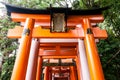 Kyoto, Japan - December 27, 2009: Fragment of orange wooden torii in Fushimi Inari Taisha Shrine.