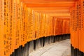 Kyoto, Japan - December 27, 2009: Orange wooden torii tunnel in Fushimi Inari Taisha Shrine. It is one of the most famous place