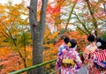 Kyoto ,Japan - December 4, 2017 : Women dress Kimono and Tourist visit  view fall foliage orange Royalty Free Stock Photo