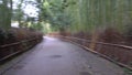 10x times speed Way to Bamboo grove path in the winter morning in Arashiyama, Kyoto