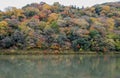 Kyoto foliage in Autumn Koyo Royalty Free Stock Photo