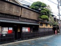 Geisha posing under a beautiful tree in a retro japanese style street at Gion Ward