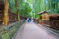 KYOTO, JAPAN - JULY 05, 2017: Unidentified people walking in a path at beatiful bamboo forest at Arashiyama, Kyoto Royalty Free Stock Photo