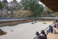 The Kare-sansui dry landscape zen garden at Ryoan-ji Temple in Kyoto, Japan. It is part of Historic