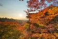 Kyoto, Japan at Kiyomizu-dera Temple During Autumn Season Royalty Free Stock Photo