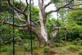 Hosen-in Temple in Ohara, Kyoto, Japan. It was built in 1012 under the reign of Emperor Sanjo in the Royalty Free Stock Photo