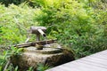 Hosen-in Temple in Ohara, Kyoto, Japan. It was built in 1012 under the reign of Emperor Sanjo in the Royalty Free Stock Photo