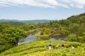 Upper Garden at Shugakuin Imperial Villa Shugakuin Rikyu in Kyoto, Japan. It was originally Royalty Free Stock Photo