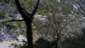 Beautiful Cherry blossoms along Hozugawa river in Arashiyama, Kyoto