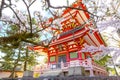 Beautiful full bloom Cherry Blossom - Sakura in scenic spring time at Chion-in temple