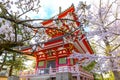 Beautiful full bloom Cherry Blossom - Sakura in scenic spring time at Chion-in temple