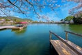 Daikakuji Temple with Beautiful full bloom cherry blossom garden in spring time