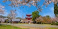 Daikakuji Temple in Kyoto, Japan with Beautiful full bloom cherry blossom garden