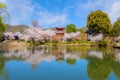 Daikakuji Temple in Kyoto, Japan with Beautiful full bloom cherry blossom garden