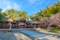 Hirano-jinja is the site of a cherry blossom festival annually since 985 during the reign of Emperor Royalty Free Stock Photo