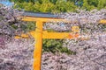 Hirano-jinja is the site of a cherry blossom festival annually since 985 during the reign of Emperor Royalty Free Stock Photo