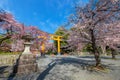 Hirano-jinja is the site of a cherry blossom festival annually since 985 during the reign of Emperor Royalty Free Stock Photo