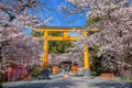 Hirano-jinja is the site of a cherry blossom festival annually since 985 during the reign of Emperor Royalty Free Stock Photo