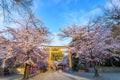 Hirano-jinja is the site of a cherry blossom festival annually since 985 during the reign of Emperor Royalty Free Stock Photo