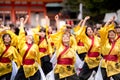 Kyoto Sakura Yosakoi ( Sakuyosa ) festival. A group of dancers dancing down a street around Heian Shrine. Japan. Royalty Free Stock Photo