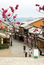 Matsubara-dori street in Kyoto in the morning. Most shops are still closed.