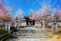 Ninnaji templein Kyoto, Japan listed as World Heritage Sites famous for Omuro Cherries