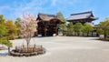 Ninnaji temple in Kyoto, Japan listed as World Heritage Sites famous for Omuro Cherries