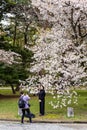 People enjoy cherry blossom (Sakura) in Kyoto Gyoen National Garden, Kyoto, Japan