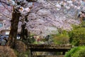 The Philosopher\'s Path is a stone path through the northern part of Kyoto\'s Higashiyama district.