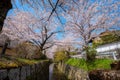 The Philosopher\'s Path is a stone path through the northern part of Kyoto\'s Higashiyama district.