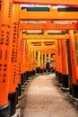 Red Torii Gates at Fushimi Inari Taisha, a Shinto Shrine in Kyoto Royalty Free Stock Photo