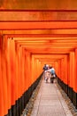 Red Torii Gates at Fushimi Inari Taisha, a Shinto Shrine in Kyoto Royalty Free Stock Photo