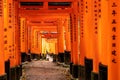 Red Torii Gates at Fushimi Inari Taisha, a Shinto Shrine in Kyoto Royalty Free Stock Photo