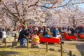 Unidentified people spend time in a beautiful full bloom Cherry Blossom - Sakura in scenic spring