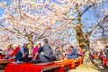 Unidentified people spend time in a beautiful full bloom Cherry Blossom - Sakura in scenic spring