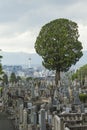 KYOTO, JAPAN - MAY 01: Higashi Otani cemetery on May 01, 2014 i Royalty Free Stock Photo