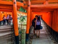 Torii Gates, Fushimi Inari Shrine, Kyoto, Japan Royalty Free Stock Photo