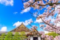 Ninomaru Palace, kyoto, Japan in Spring